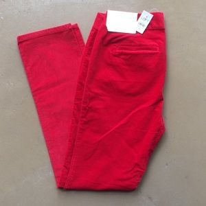 ❤️ NWT Loft Velvet Marisa Skinny Pants ❤️